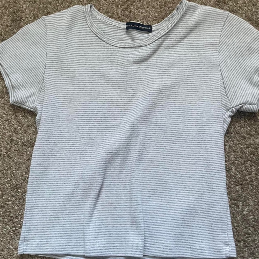 Brandy Melville Gray Fitted Crop Tee